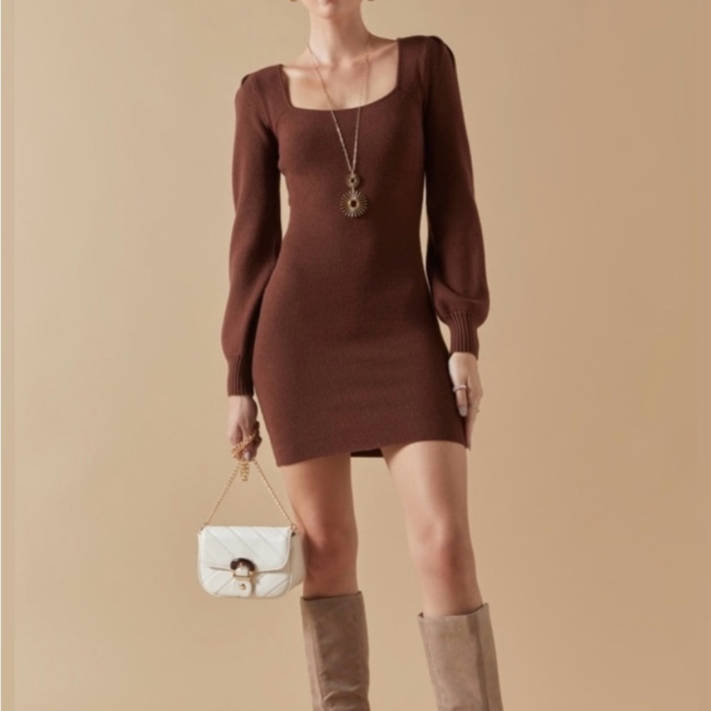 Francesca’s Knit Bodycon Mini Dress – Brown, Long Sleeve, Fall/Winter Style